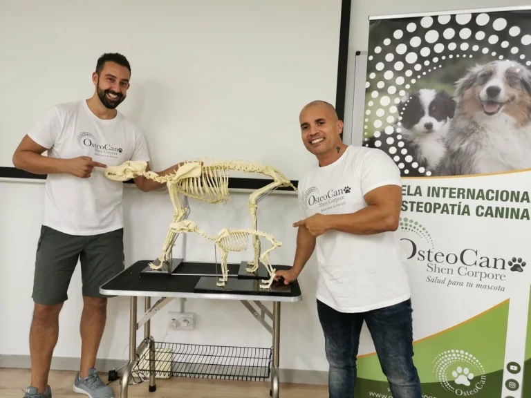 osteocan foto 768x576