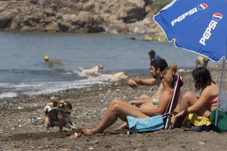 Arroyo Totalan Playa para Perros en Malaga4 768x512