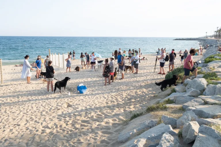 Playa Para Perros En Mataro Barcelona2 768x512