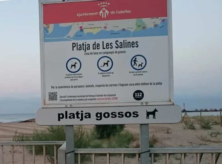 Playa de Les Salines Playa de Cubelles perros 768x568