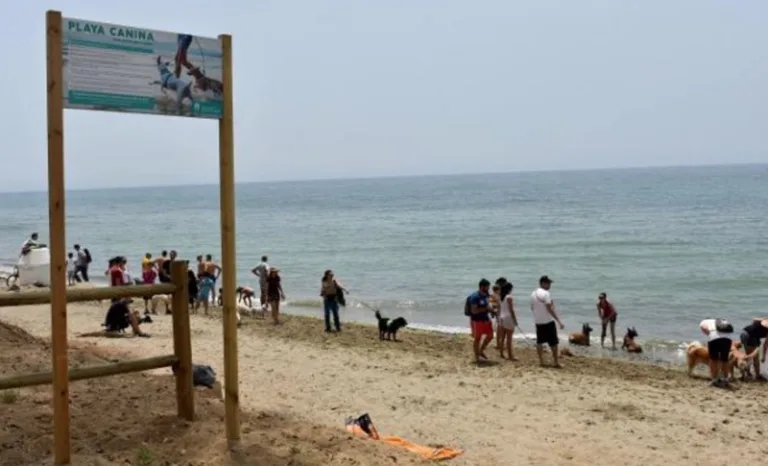 Playa para PERROS El Pinillo 768x466