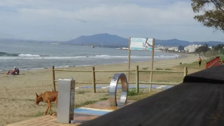 Playa para PERROS El Pinillo4 768x433