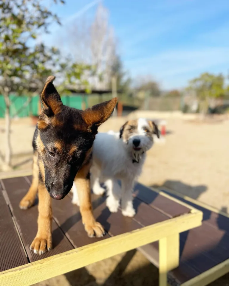 Aqua Park Can Jane 768x960