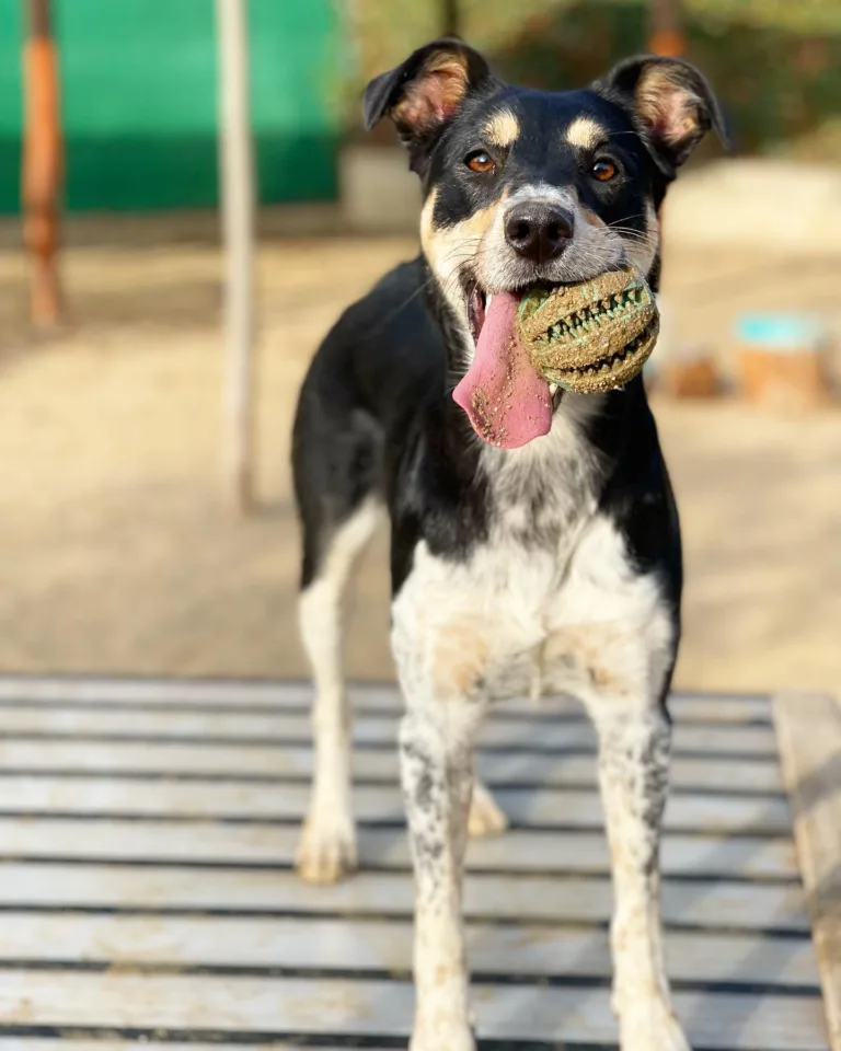 Aqua Park Can Jane3 768x960