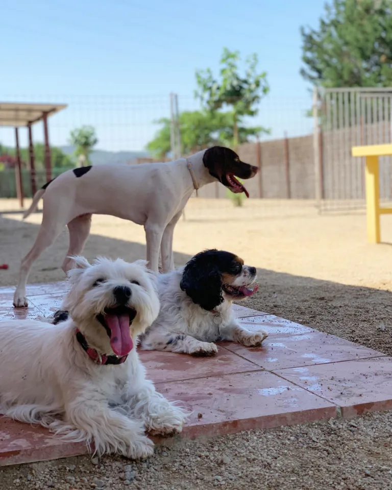 Aqua Park Can Jane4 768x960