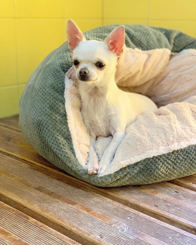 Aqua Park Can Jane5 768x960