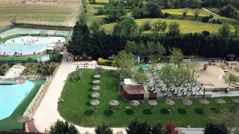 Aquapark canino 22Perros al agua220 768x432