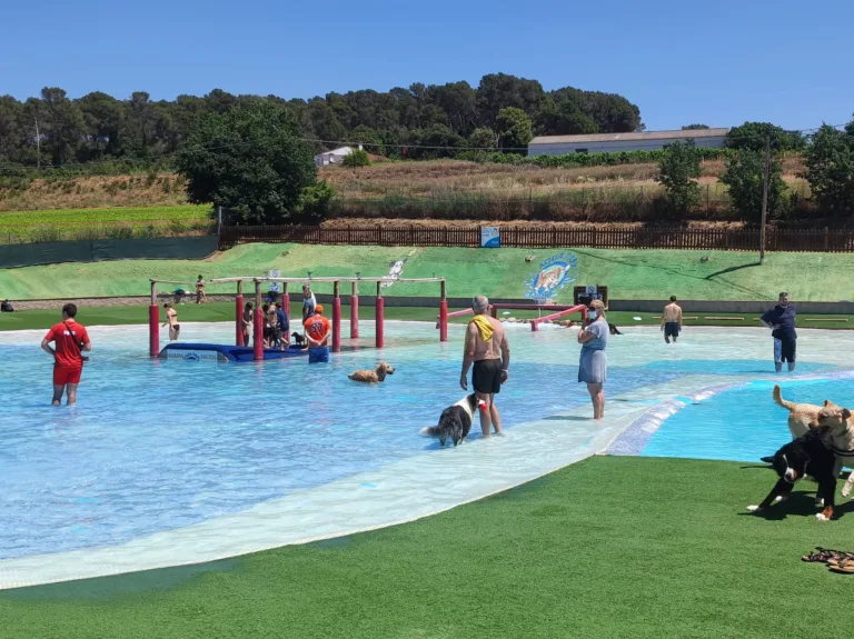 Aquapark canino 22Perros al agua222 768x575