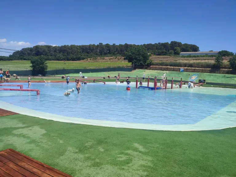 Aquapark canino 22Perros al agua223 768x576