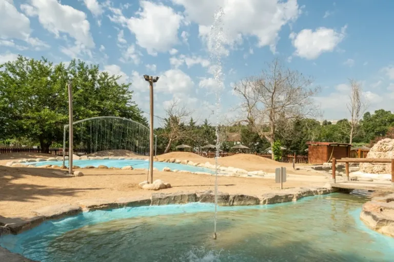 Aquapark canino 22Perros al agua225 768x512