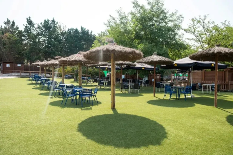 Aquapark canino 22Perros al agua226 768x512