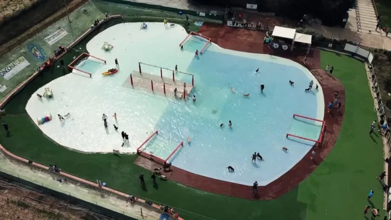 Aquapark canino 22Perros al agua228 768x432