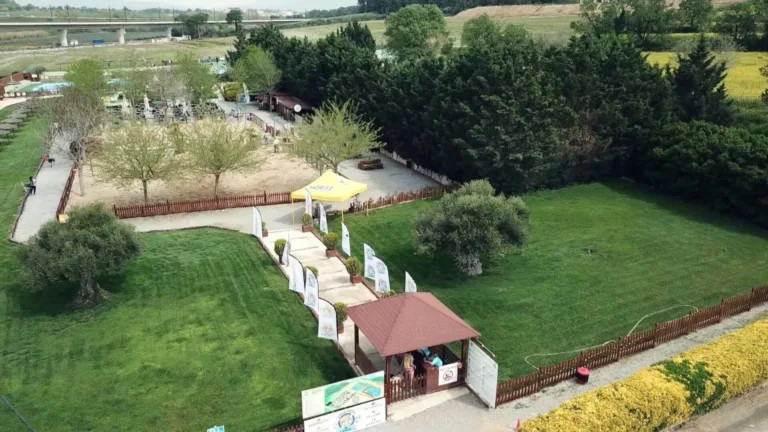 Aquapark canino 22Perros al agua229 768x432