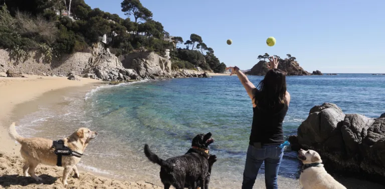 La cala Belladona 768x377