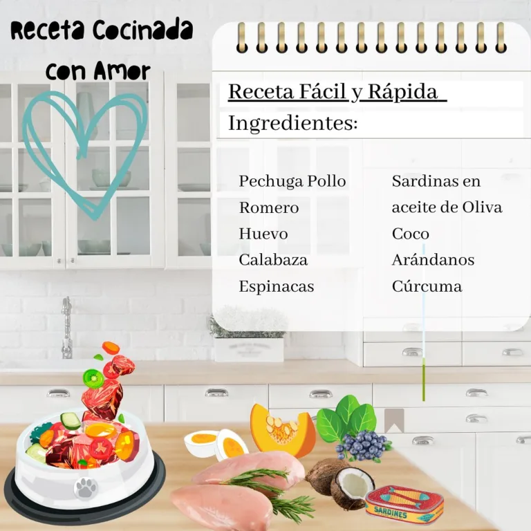 Lurdes entre Perros y Gatos6 768x768