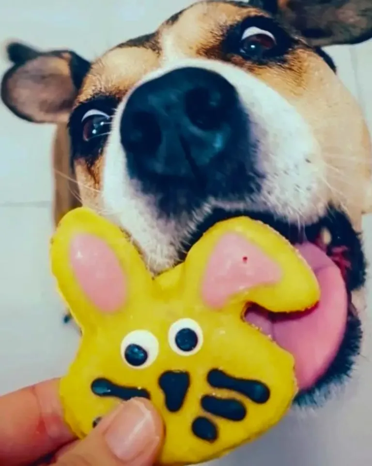 Miguitas reposteria perruna2 768x960