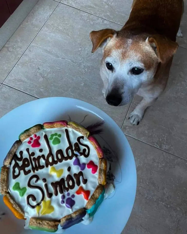 Miguitas reposteria perruna3 768x960