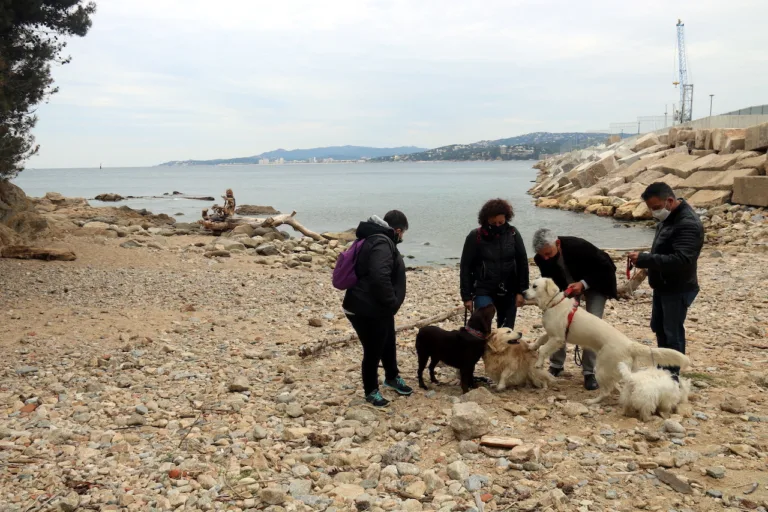 Playa para los perros Pere Grau2 768x512