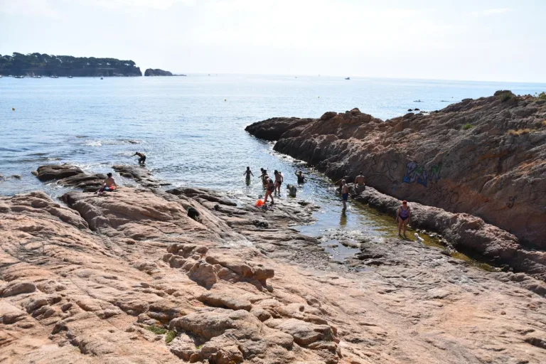 Playa para los perros en Costa Brava Cala del Niu 768x512