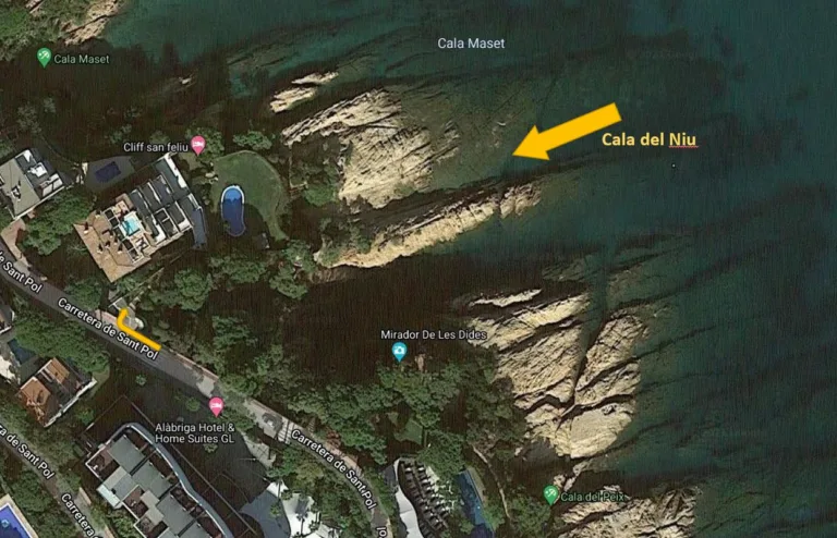 Playa para los perros en Costa Brava Cala del Niu4 768x494