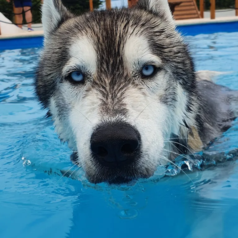 Trust Resort Canino 768x768