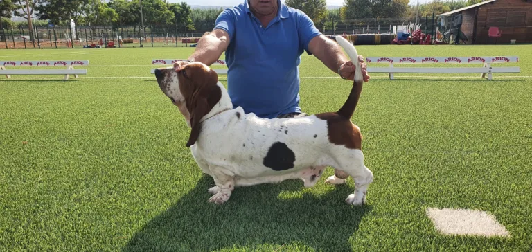 Trust Resort Canino2 768x364