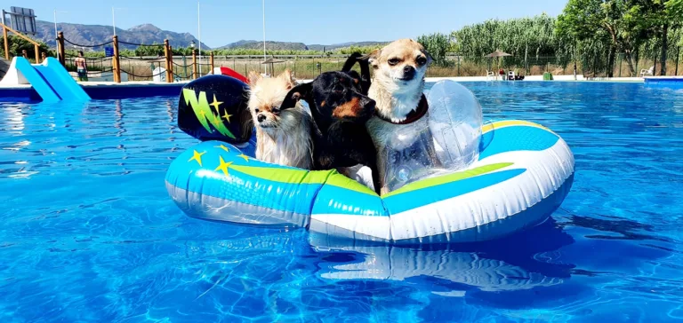 Trust Resort Canino3 768x364