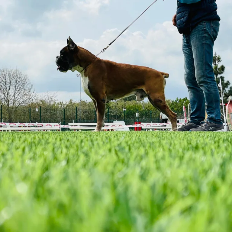 Trust Resort Canino4 768x768
