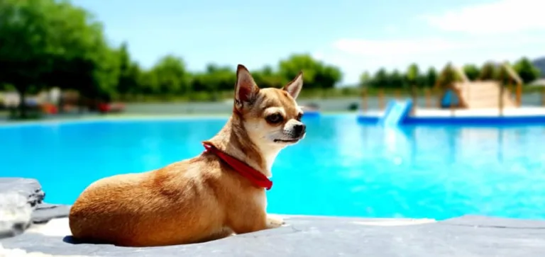 Trust Resort Canino6 768x363