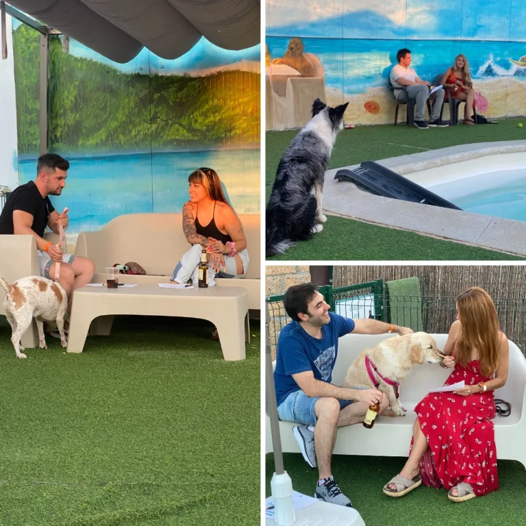 Vive Resort para Mascotas2 768x768