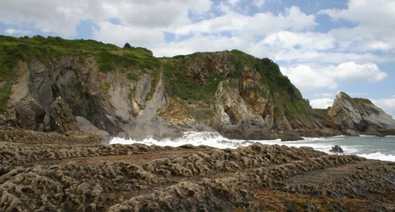 Playa para perros la playa Arcisero en Castro Urdiales Cantabria2 768x413