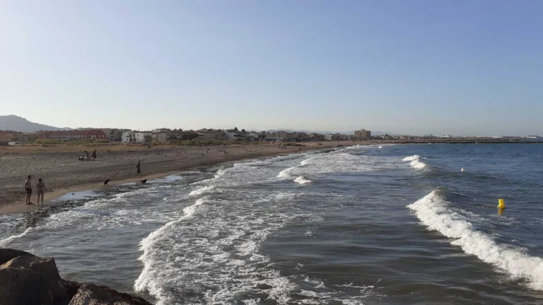 Platja Canina Playa para perros en El Puig de Santa Maria 768x432