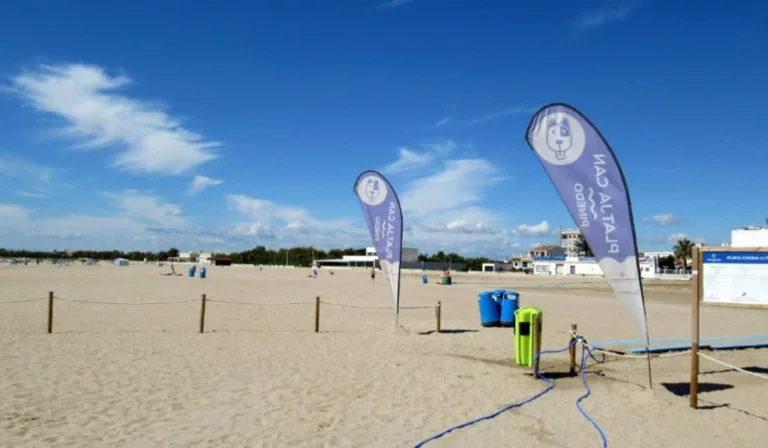 Playa Canina de Pinedo 768x448