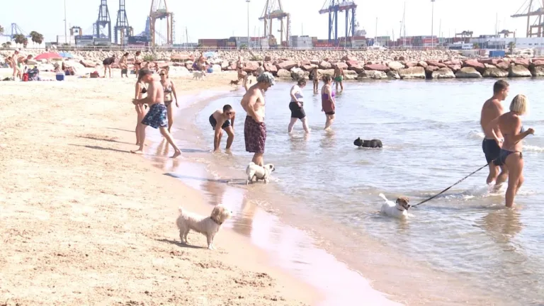 Playa Canina de Pinedo2 768x432