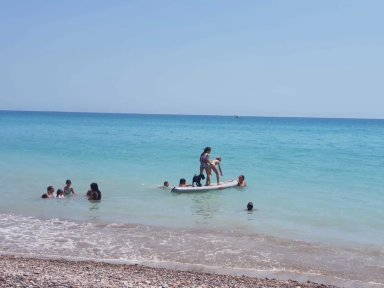 Playa canina de Nules2 768x576