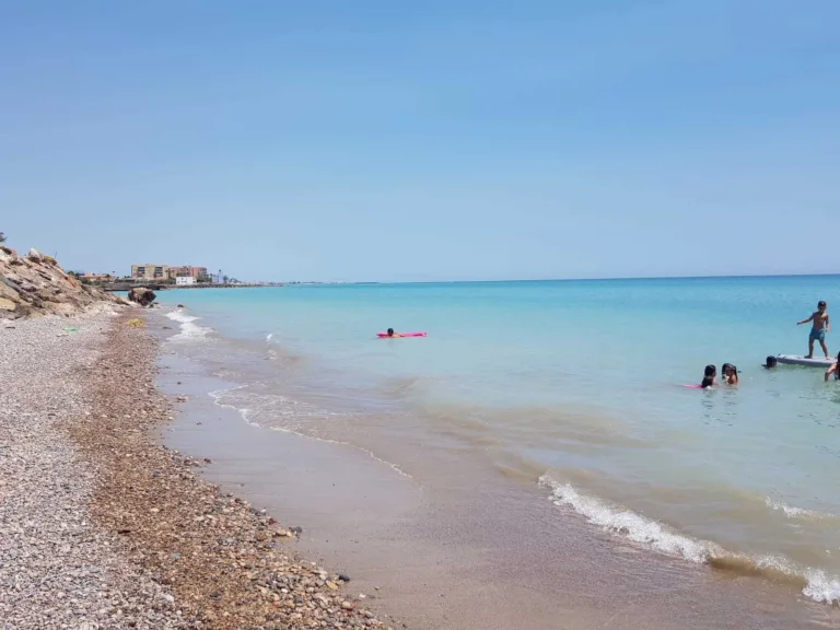 Playa canina de Nules3 768x576