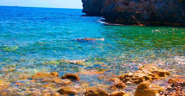 Playa canina de Nules4 768x399