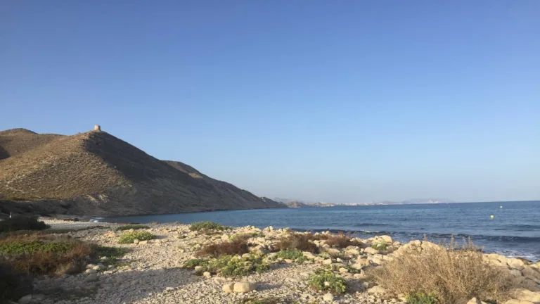 Playa del Barranc Campello es otra playa para perros 768x432