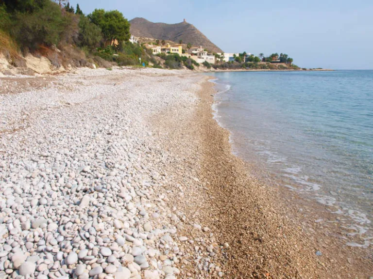 Playa del Barranc Campello es otra playa para perros2 768x576