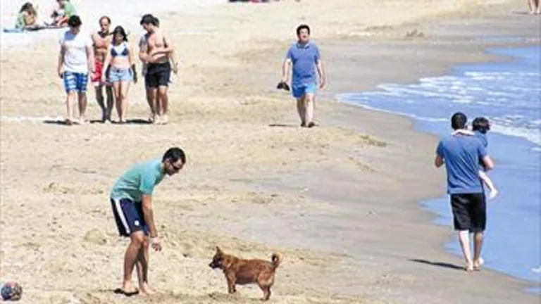 Playa para perros en Alcossebre2 768x432