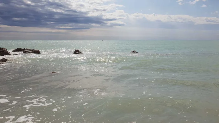 Playa para perros en Moncofar playa Belcaire3 768x432