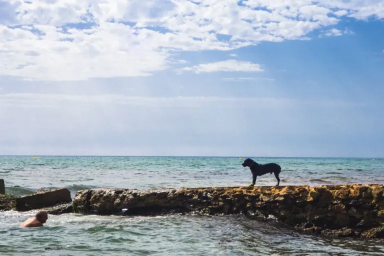 Playa para perros playa de Agua Amarga 768x512