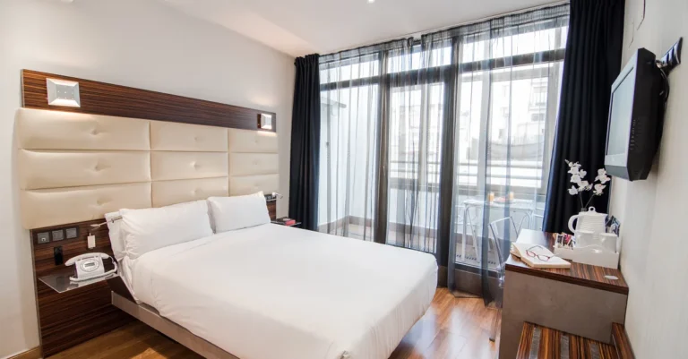 Petit Palace Cliper pet friendly4 768x401
