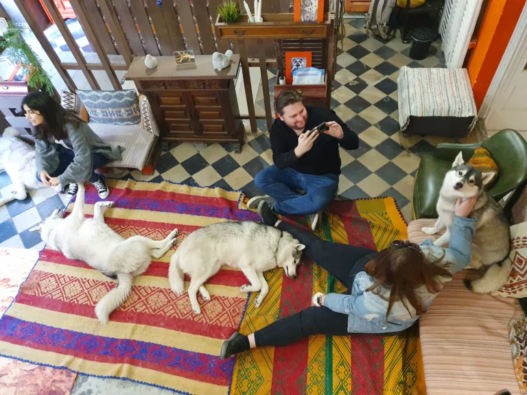 Husky House3 768x576
