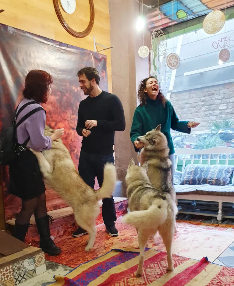 Husky House4 768x939