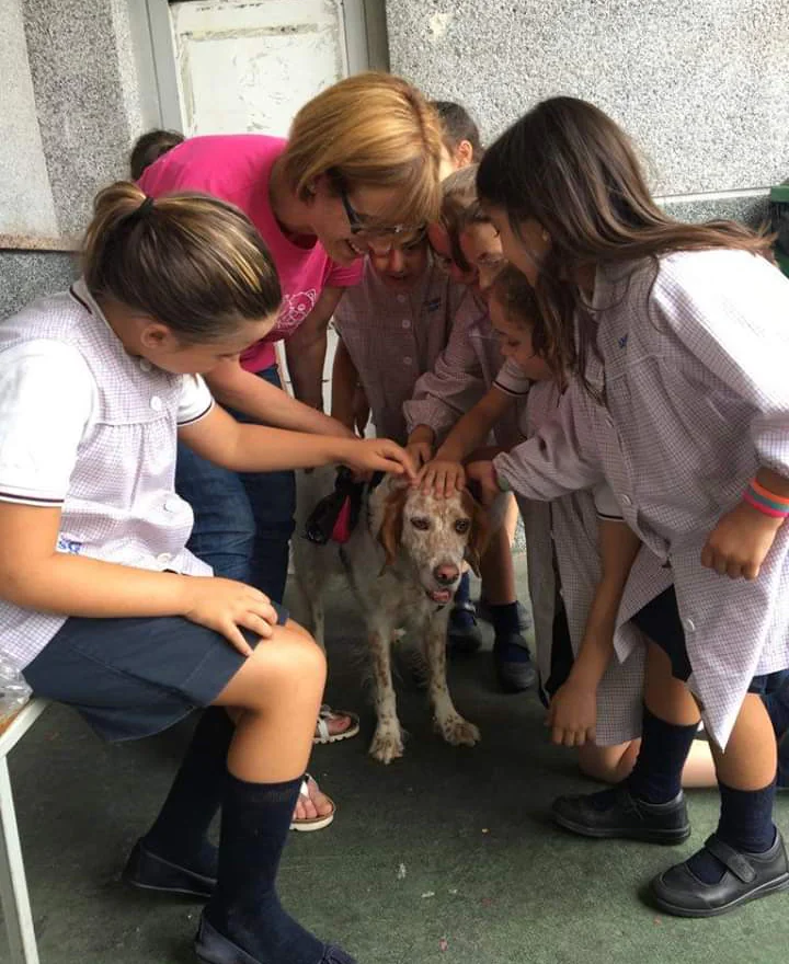 Asociación Animales Ripollet3