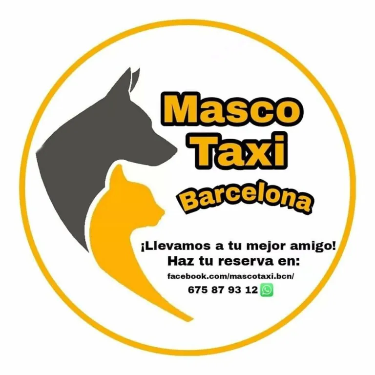 Mascotaxi Barcelona 768x768