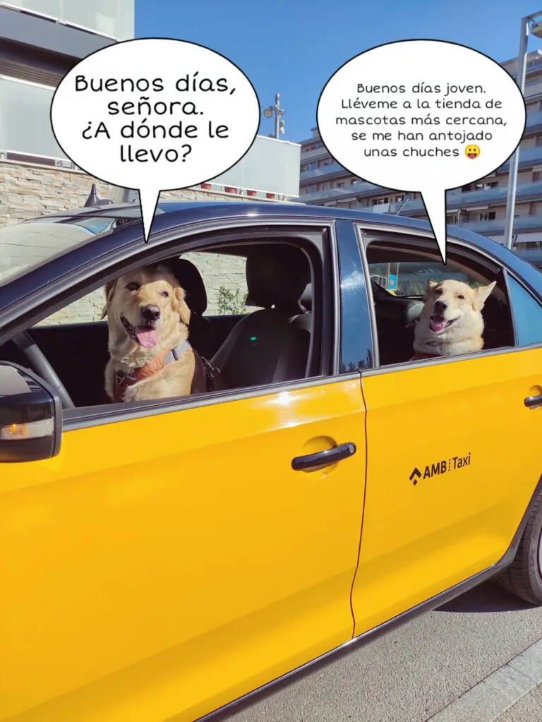 Mascotaxi Barcelona2 768x1023