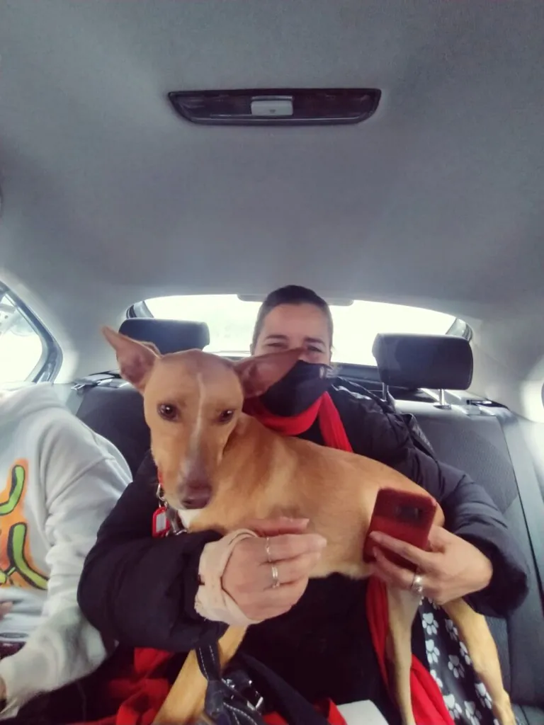 Mascotaxi Barcelona7 768x1024