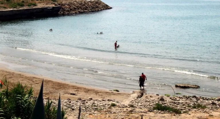Playa Para Perros En Cubelles Barcelona2 768x417
